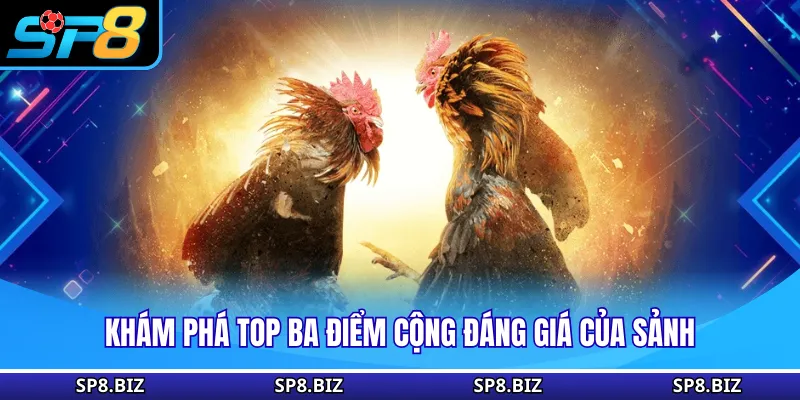 Khám phá top ba điểm cộng đáng giá của sảnh